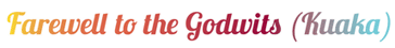 Farewell to the Godwits